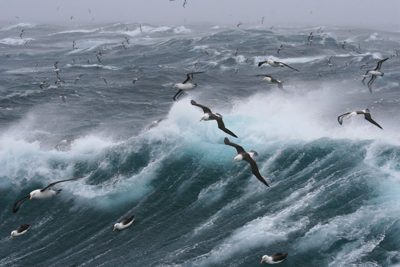The Perfect Storm: Why Now Is the Best Time to Enter Venture Capital Fund-of-Funds